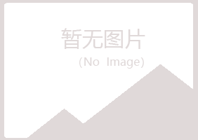 鹤壁鹤山骤变能源有限公司